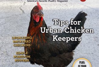BYP Urban Chicken Keeping e-edition Flip Book